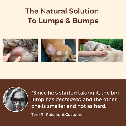 PETSMONT BUDDY GUARD: The Supplement For Dogs With Lumps  Bumps